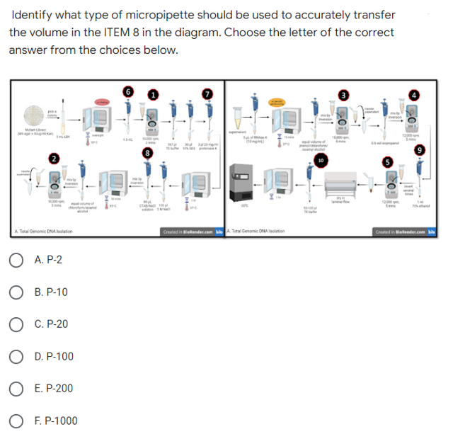 Identify what type of micropipette should be used to accurately transfer
the volume in the ITEM 8 in the diagram. Choose the letter of the correct
answer from the choices below.
pika
1000p
14.000
zm
Sof
(Eng)
www.
CTAB N
Created in Blaender.com bio A Total
Total Genomic DNA Isolation
O!
A Total Genomic DNA Isolation
O A.P-2
OB. P-10
OC. P-20
D. P-100
O E. P-200
O F. P-1000
50-100
12:00
Created in Biotender.com bie