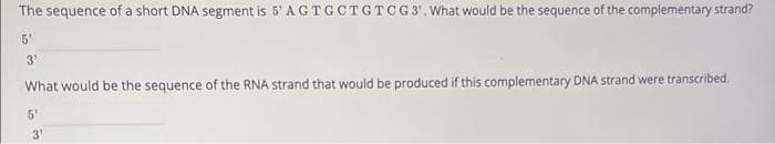 The sequence of a short DNA segment is 5' AGTGCTGTCG 3¹. What would be the sequence of the complementary strand?
5'
3'
What would be the sequence of the RNA strand that would be produced if this complementary DNA strand were transcribed.
5'
3'