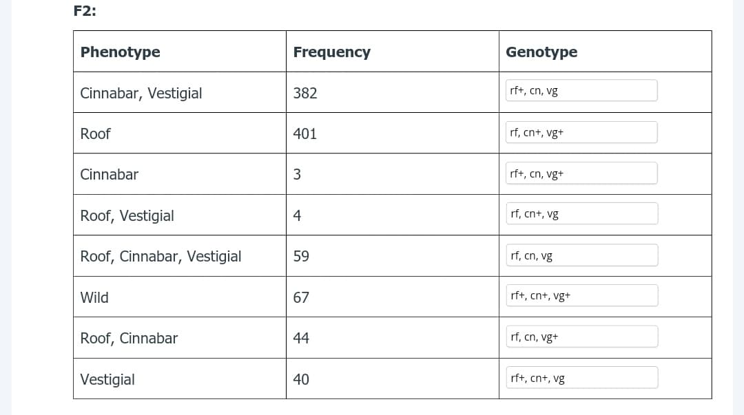 F2:
Phenotype
Frequency
Genotype
Cinnabar, Vestigial
382
rf+, cn, vg
Roof
401
rf, cn+, vg+
Cinnabar
rf+, cn, vg+
Roof, Vestigial
4
rf, cnt, vg
Roof, Cinnabar, Vestigial
59
rf, cn, vg
Wild
67
rf+, cn+, vg+
Roof, Cinnabar
44
rf, cn, vg+
Vestigial
40
rf+, cnt, vg
