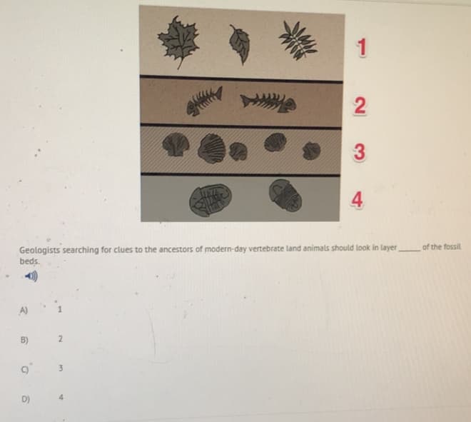 拳
1
2
3
4
77811
Geologists searching for clues to the ancestors of modern-day vertebrate land animals should look in layer
beds.
of the fossil
A) 1
B)
3.
D)
4
