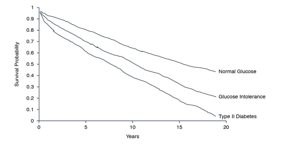 1
0.9
0.8
0.7
0.6
0.5
Normal Glucose
0.4
0.3
0.2 -
Glucose Intolerance
0.1
Type II Diabetes
0 +
T
10
15
20
Years
Survival Probability
LO
