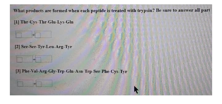 What products are formed when each peptide is treated with trypsin? Be sure to answer all part
[1] Thr Cys-Thr-Glu-Lys-Gln
[2] Ser-Ser-Tyr-Leu-Arg-Tyr
[3] Phe-Val-Arg-Gly-Trp-Gln-Asn-Trp-Ser-Phe-Cys-Tyr
