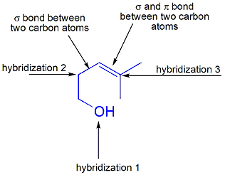 o bond between
two carbon atoms
hybridization 2
OH
o and bond
between two carbon
atoms
hybridization 1
hybridization 3