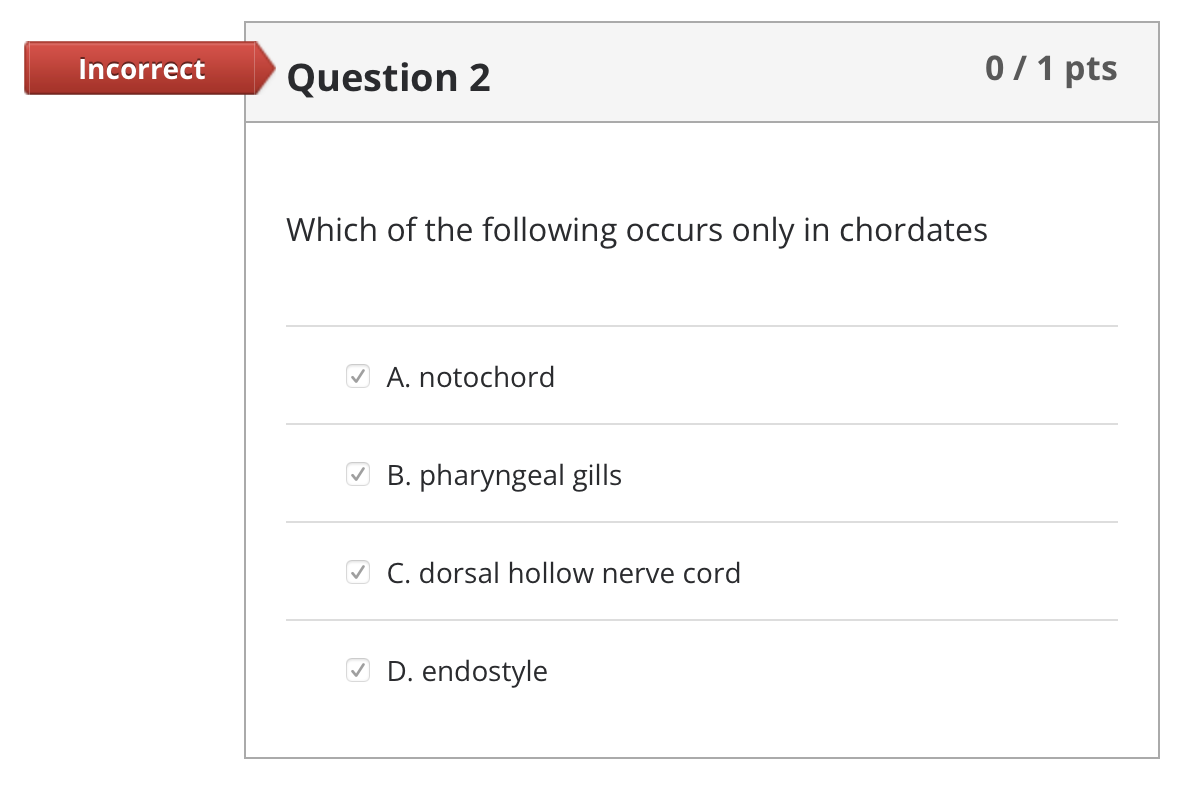 0/1 pts
Incorrect
Question 2
Which of the following occurs only in chordates
V A. notochord
O B. pharyngeal gills
V C. dorsal hollow nerve cord
D. endostyle
