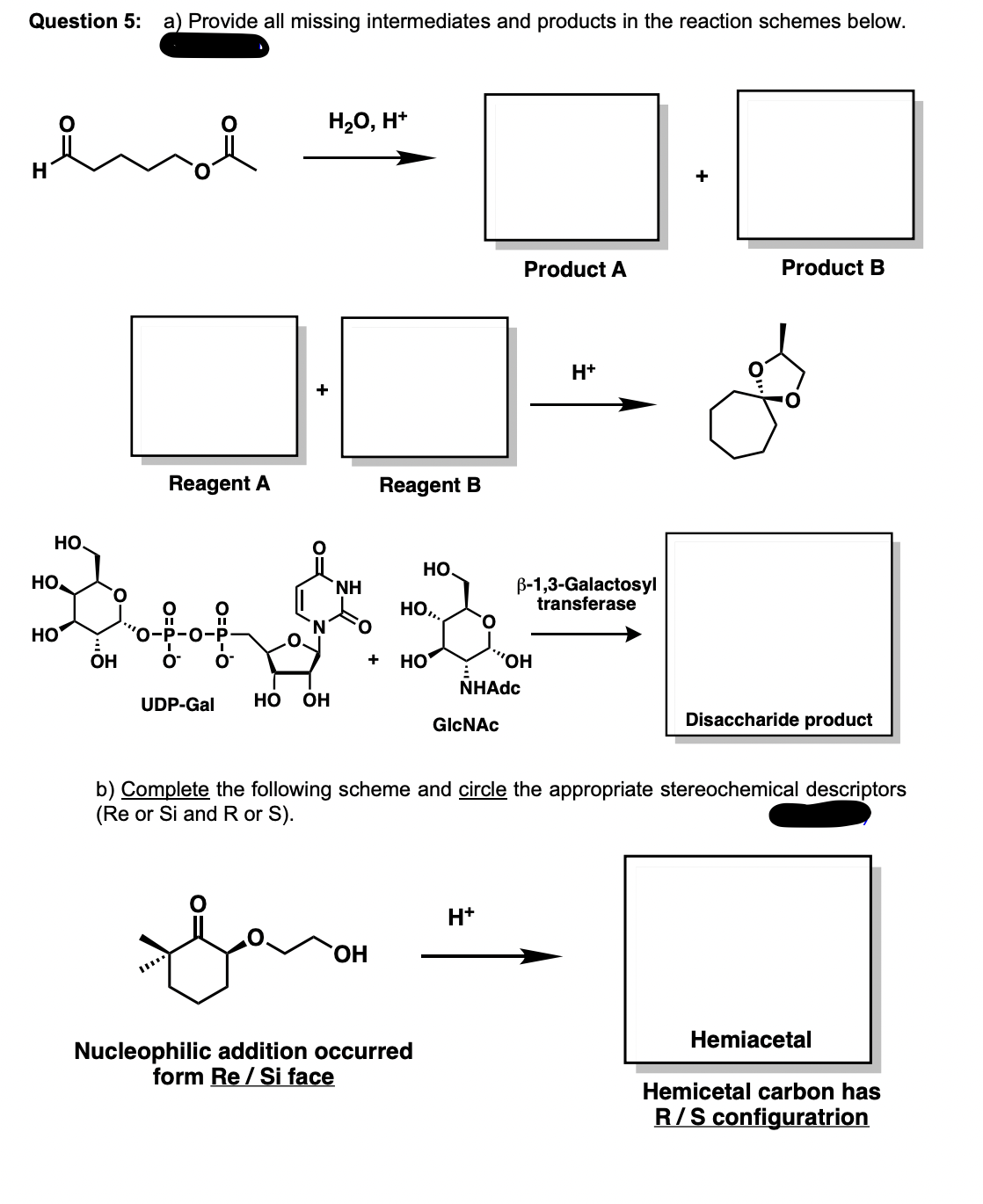 Question 5: a) Provide all missing intermediates and products in the reaction schemes below.
end
H
HO
HO
HO
он
Reagent A
O
H₂O, H+
+
N
UDP-Gal HO OH
NH
Reagent B
OH
HO
HO,,.
+ HO
Jean
Nucleophilic addition occurred
form Re / Si face
O
NHAdc
GlcNAc
H+
Product A
"OH
B-1,3-Galactosyl
transferase
H+
+
b) Complete the following scheme and circle the appropriate stereochemical descriptors
(Re or Si and R or S).
Product B
Disaccharide product
Hemiacetal
Hemicetal carbon has
R/S configuratrion