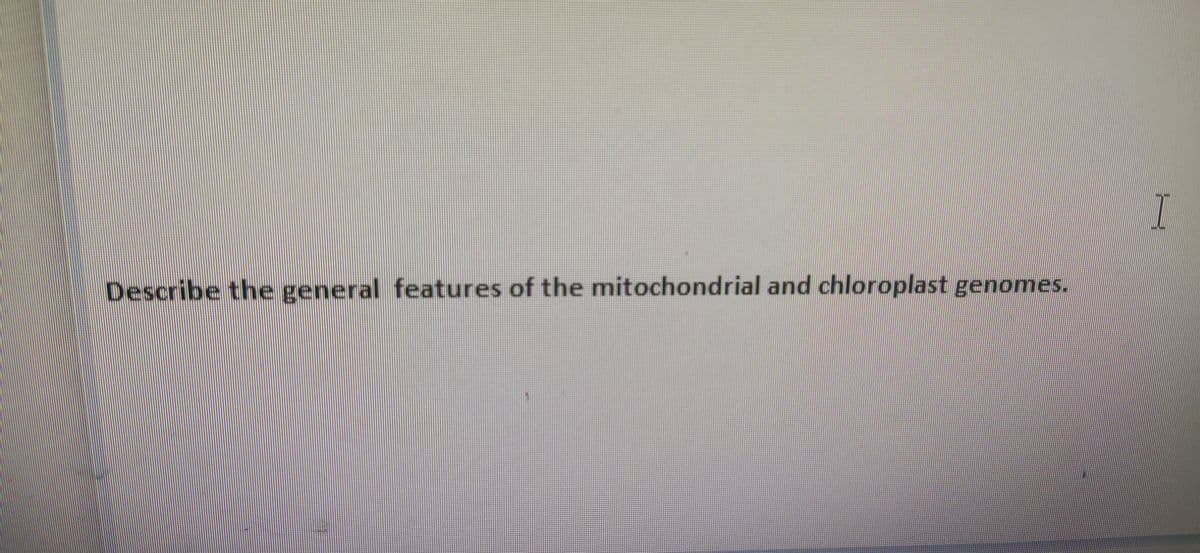 Describe the general features of the mitochondrial and chloroplast genomes.
