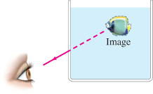 **Understanding Refraction and Apparent Depth in Water**

In this educational diagram, we are exploring the concept of refraction and how it affects the apparent depth of an object submerged in water. 

**Diagram Explanation:**

1. **Eye Representation:**
   On the left side of the image, there is an illustration of a human eye. This symbolizes the observer's point of view.

2. **Image in Water:**
   To the right, there is a rectangular container filled with water, represented by a light blue area. Inside the water is an image of a fish. This fish represents an actual object submerged in water.

3. **Dashed Line Path:**
   A pink dashed line connects the eye to the image of the fish. This line indicates the path that light travels from the fish to the observer's eye. This path bends at the water's surface, illustrating the phenomenon of refraction.

4. **Label:**
   The word "Image" is placed below the fish, indicating that this is the location where the observer perceives the fish.

**Concepts Illustrated:**

- **Refraction:**
  The bending of light as it passes from one medium to another (in this case, from water to air) causes objects to appear at a different location than their actual position.

- **Apparent Depth:**
  Due to refraction, the fish appears closer to the surface than it actually is. This is why the observer’s eye perceives the fish at a shallower depth.

This diagram is a great educational tool in understanding basic principles of optics, emphasizing how refraction can create an apparent shift in the position of objects submerged in water.