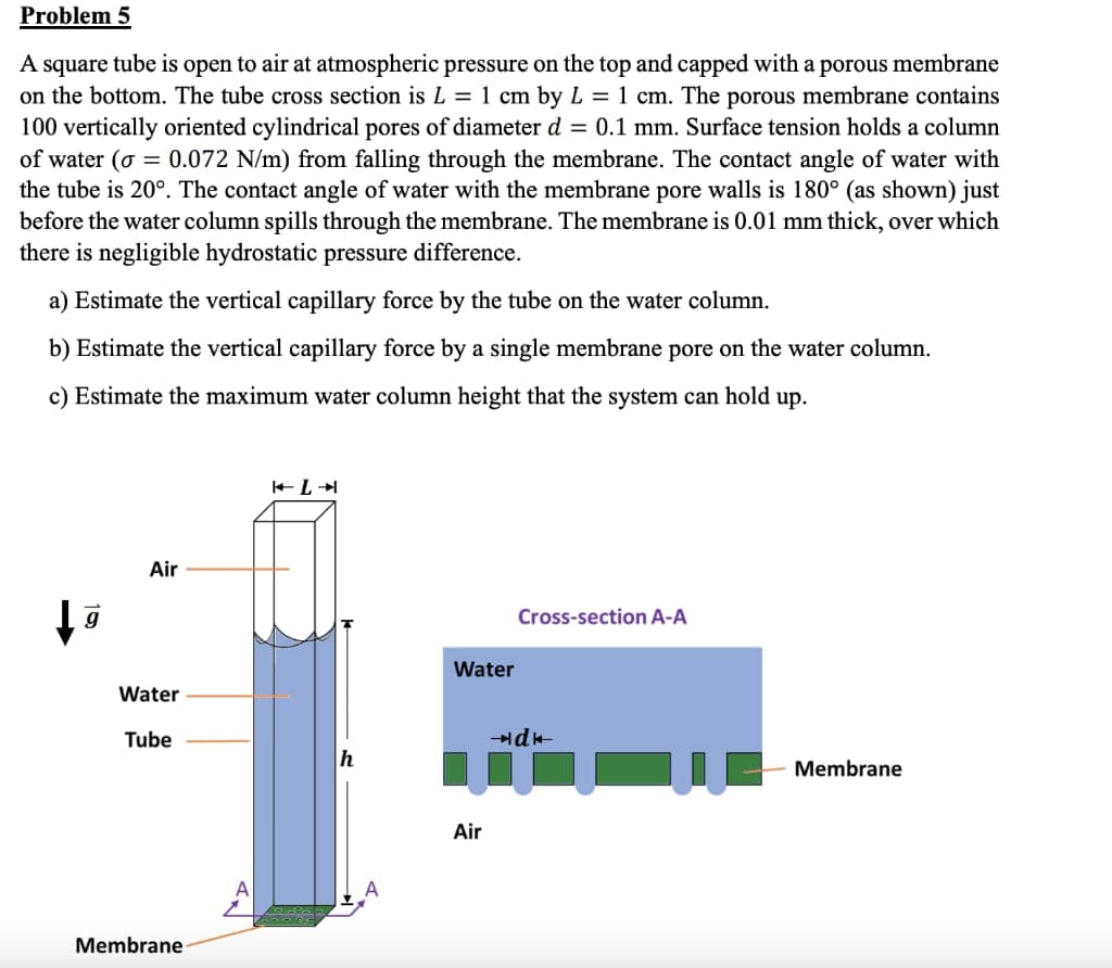 Problem 5
A square tube is open to air at atmospheric pressure on the top and capped with a porous membrane
on the bottom. The tube cross section is L = 1 cm by L = 1 cm. The porous membrane contains
100 vertically oriented cylindrical pores of diameter d = 0.1 mm. Surface tension holds a column
of water (o = 0.072 N/m) from falling through the membrane. The contact angle of water with
the tube is 20°. The contact angle of water with the membrane pore walls is 180° (as shown) just
before the water column spills through the membrane. The membrane is 0.01 mm thick, over which
there is negligible hydrostatic pressure difference.
a) Estimate the vertical capillary force by the tube on the water column.
b) Estimate the vertical capillary force by a single membrane pore on the water column.
c) Estimate the maximum water column height that the system can hold up.
Air
g
Cross-section A-A
Water
Water
Tube
h
Membrane
Air
Membrane
