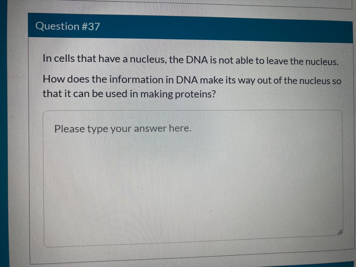 Question #37
In cells that have a nucleus, the DNA is not able to leave the nucleus.
How does the information in DNA make its way out of the nucleus so
that it can be used in making proteins?
Please type your answer here.