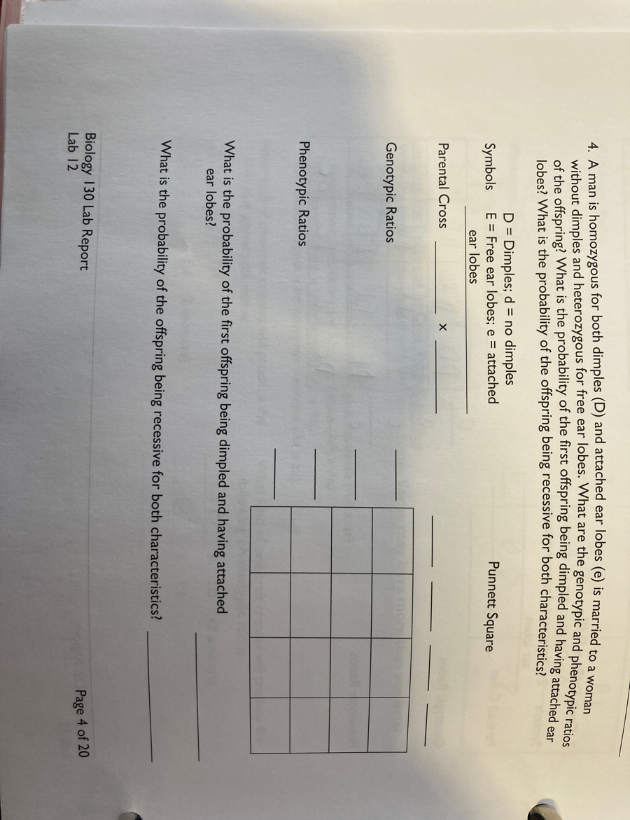4. A man is homozygous for both dimples (D) and attached ear lobes (e) is married to a woman
without dimples and heterozygous for free ear lobes. What are the genotypic and phenotypic ratios
of the offspring? What is the probability of the first offspring being dimpled and having attached ear
lobes? What is the probability of the offspring being recessive for both characteristics?
D = Dimples; d = no dimples
Symbols E = Free ear lobes; e = attached
ear lobes
Parental Cross
Genotypic Ratios
Phenotypic Ratios
X
Punnett Square
What is the probability of the first offspring being dimpled and having attached
ear lobes?
Biology 130 Lab Report
Lab 12
What is the probability of the offspring being recessive for both characteristics?
Page 4 of 20