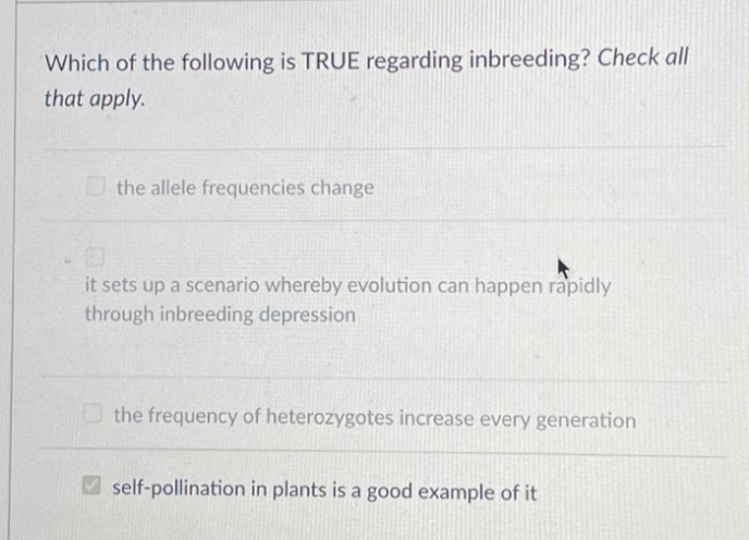 Which of the following is TRUE regarding inbreeding? Check all
that apply.
the allele frequencies change
C
it sets up a scenario whereby evolution can happen rapidly
through inbreeding depression
the frequency of heterozygotes increase every generation
self-pollination in plants is a good example of it