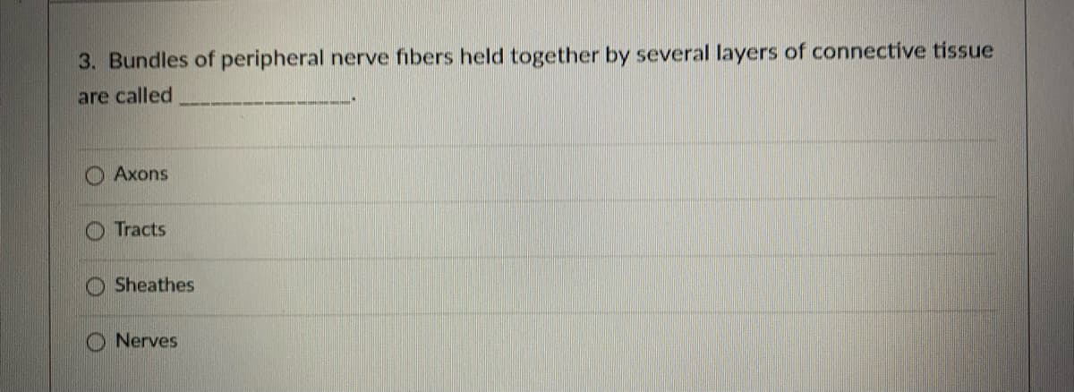 3. Bundles of peripheral nerve fibers held together by several layers of connective tissue
are called
Axons
Tracts
Sheathes
Nerves
