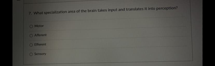 7. What specialization area of the brain takes input and translates it into perception?
O Motor
Afferent
Efferent
O Sensory
