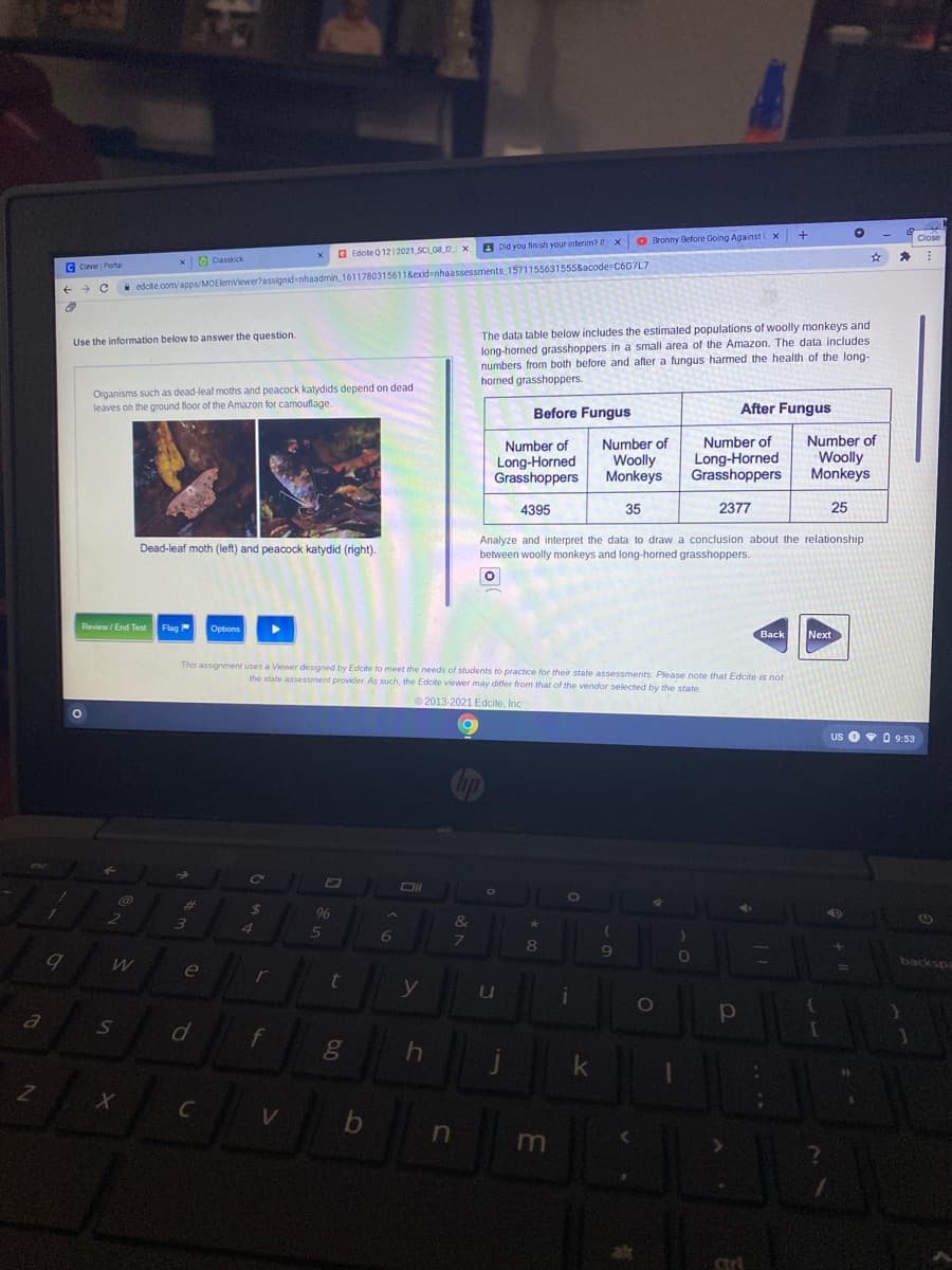 O Bronny Before Going Against L x +
Close
A Did you finish your interim? if
a Edcite Q 12 | 2021 SCLG8 2 x
xO Classkick
C Clever Portal
edcite.com/apps/MOElemViewer?assignid nhaadmin_1611780315611&exid=nhaassessments 15711556315558acode C6G7L7
The data table below includes the estimated populations of woolly monkeys and
long-horned grasshoppers in a small area of the Amazon. The data includes
numbers from both before and after a fungus harmed the health of the long-
horned grasshoppers.
Use the information below to answer the question.
Organisms such as dead-leaf moths and peacock katydids depend on dead
leaves on the ground floor of the Amazon for camouflage.
Before Fungus
After Fungus
Number of
Woolly
Monkeys
Number of
Long-Horned
Grasshoppers
Number of
Woolly
Monkeys
Number of
Long-Horned
Grasshoppers
4395
35
2377
25
Analyze and interpret the data to draw a conclusion about the relationship
Dead-leaf moth (left) and peacock katydid (right).
between woolly monkeys and long-horned grasshoppers.
Review / End Test
Flag
Options
Back
Next
This assignment uses a Viewer designed by Edcite to meet the needs of students to practice for their state assessments. Please note that Edcite is not
the state assessment provider. As such, the Edcite viewer may differ from that of the vendor selected by the state.
© 2013-2021 Edcite, Inc
us 090 9:53
bp
%23
%24
96
&
4.
5
6.
backspa
e
r
a
f
V
alt
ctr
