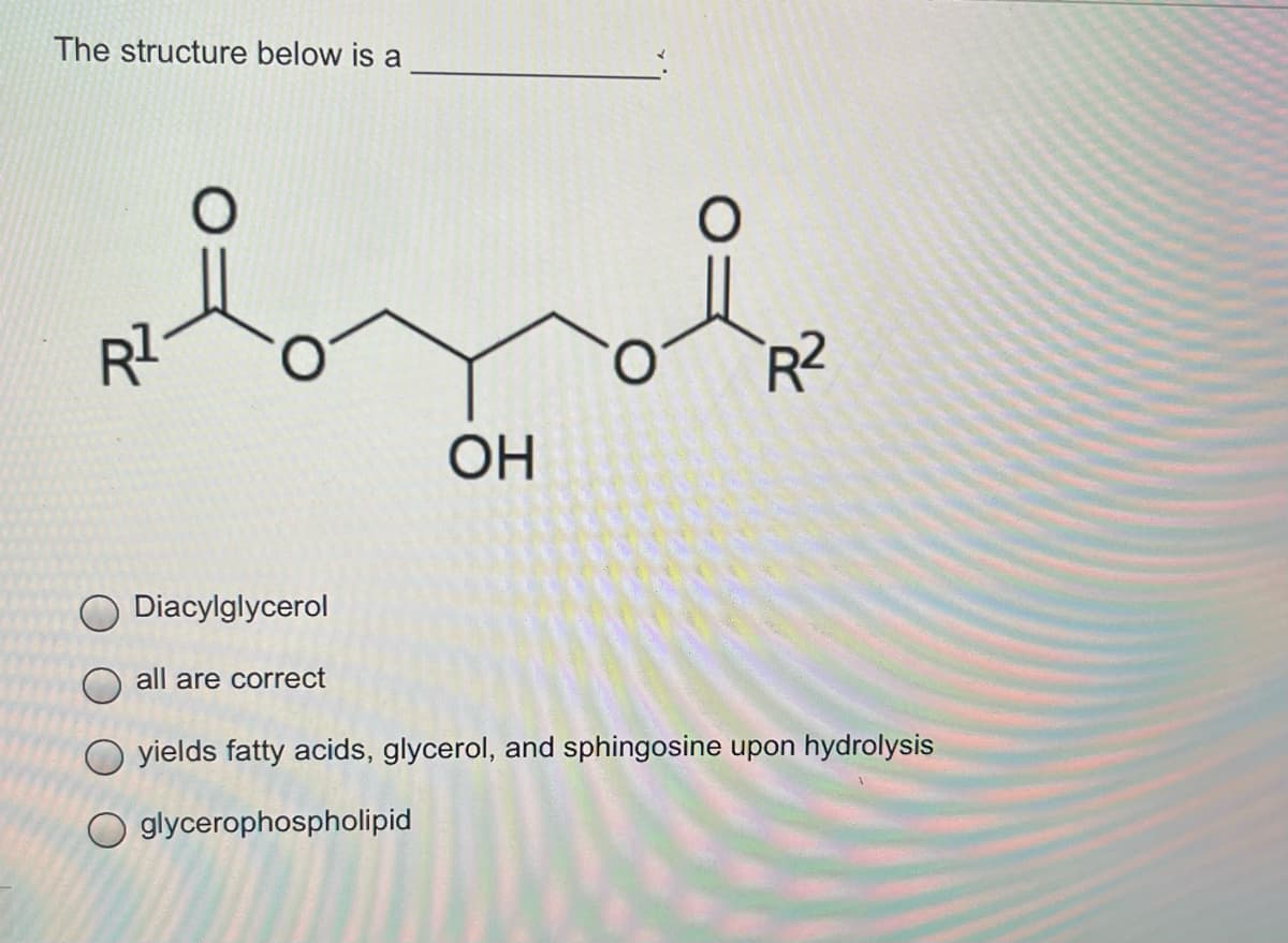 The structure below is a
R2
R²
ОН
Diacylglycerol
all are correct
O yields fatty acids, glycerol, and sphingosine upon hydrolysis
O glycerophospholipid
