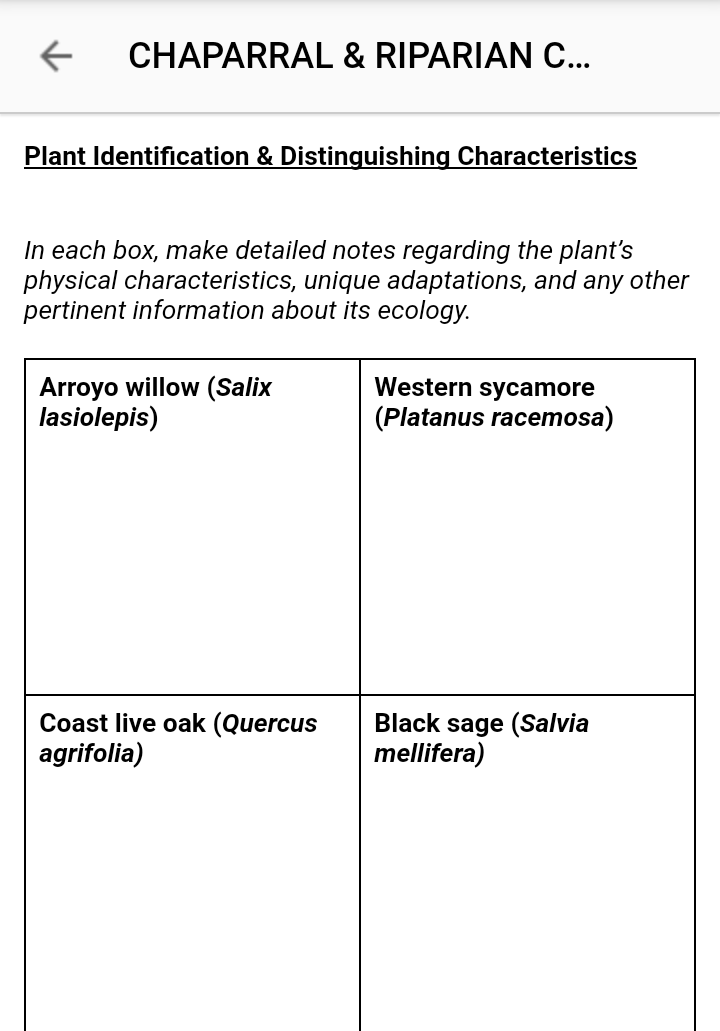 Plant Identification & Distinguishing Characteristics
In each box, make detailed notes regarding the plant's
physical characteristics, unique adaptations, and any other
pertinent information about its ecology.
Arroyo willow (Salix
lasiolepis)
Western sycamore
(Platanus racemosa)
