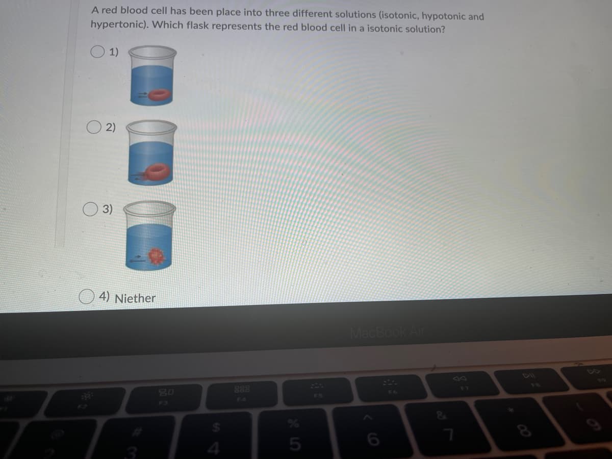 A red blood cell has been place into three different solutions (isotonic, hypotonic and
hypertonic). Which flask represents the red blood cell in a isotonic solution?
O 1)
2)
3)
O 4) Niether
MacBook Air
888
57
80
F6
F5
F4
