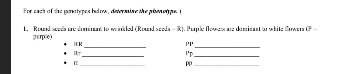 For each of the genotypes below, determine the phenotype. (
1. Round seeds are dominant to wrinkled (Round seeds = R). Purple flowers are dominant to white flowers (P =
purple)
RR
PP
Rr
Pp
rr
pp
