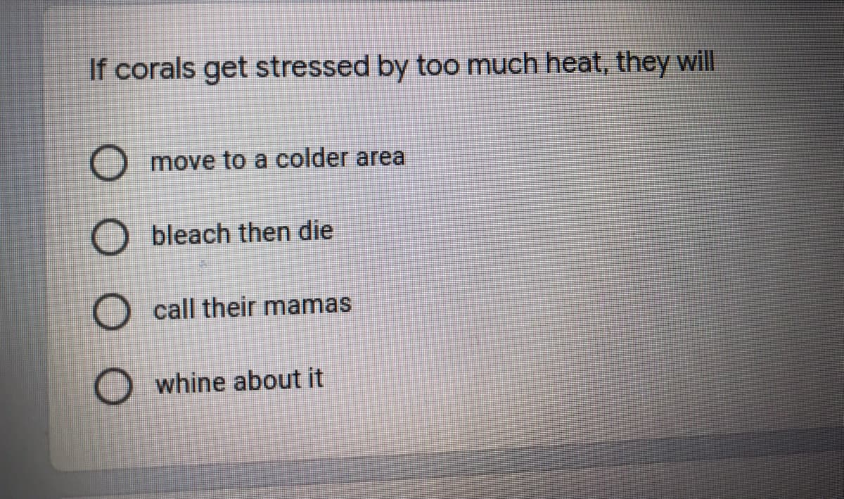 If corals get stressed by too much heat, they will
O move to a colder area
bleach then die
O call their mamas
whine about it
