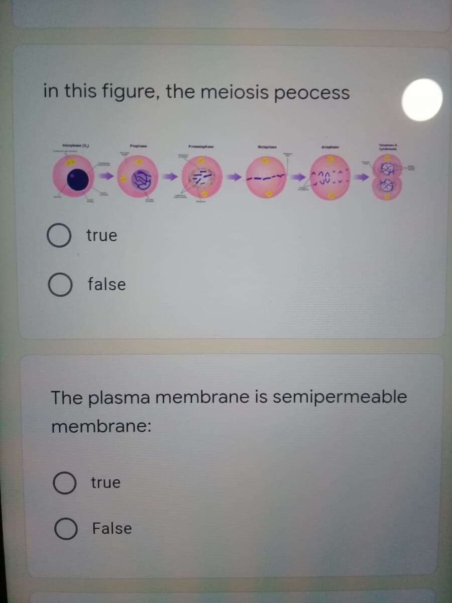 in this figure, the meiosis peocess
Intaphase (G)
true
false
The plasma membrane is semipermeable
membrane:
true
O False
