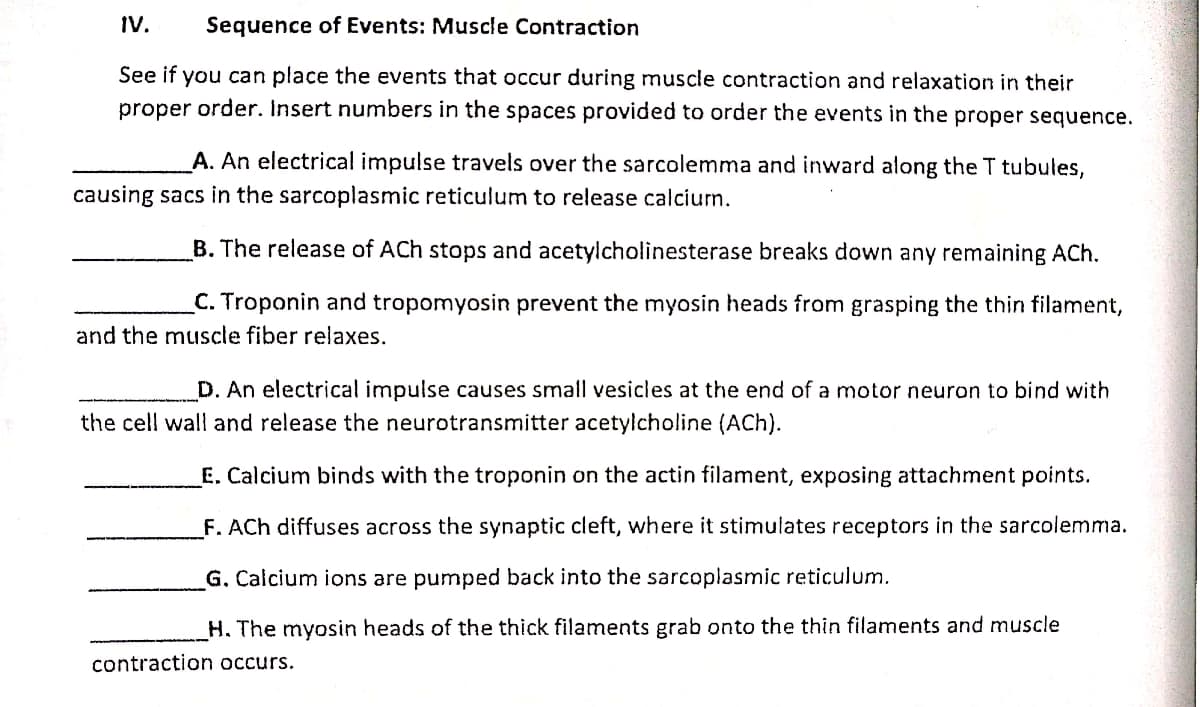 IV.
Sequence of Events: Muscle Contraction
See if you can place the events that occur during muscle contraction and relaxation in their
proper order. Insert numbers in the spaces provided to order the events in the proper sequence.
A. An electrical impulse travels over the sarcolemma and inward along the T tubules,
causing sacs in the sarcoplasmic reticulum to release calciun.
B. The release of ACh stops and acetylcholinesterase breaks down any remaining ACh.
C. Troponin and tropomyosin prevent the myosin heads from grasping the thin filament,
and the muscle fiber relaxes.
D. An electrical impulse causes small vesicles at the end of a motor neuron to bind with
the cell wall and release the neurotransmitter acetylcholine (ACh).
E. Calcium binds with the troponin on the actin filament, exposing attachment points.
F. ACh diffuses across the synaptic cleft, where it stimulates receptors in the sarcolemma.
G. Calcium ions are pumped back into the sarcoplasmic reticulum.
H. The myosin heads of the thick filaments grab onto the thin filaments and muscle
contraction occurs.
