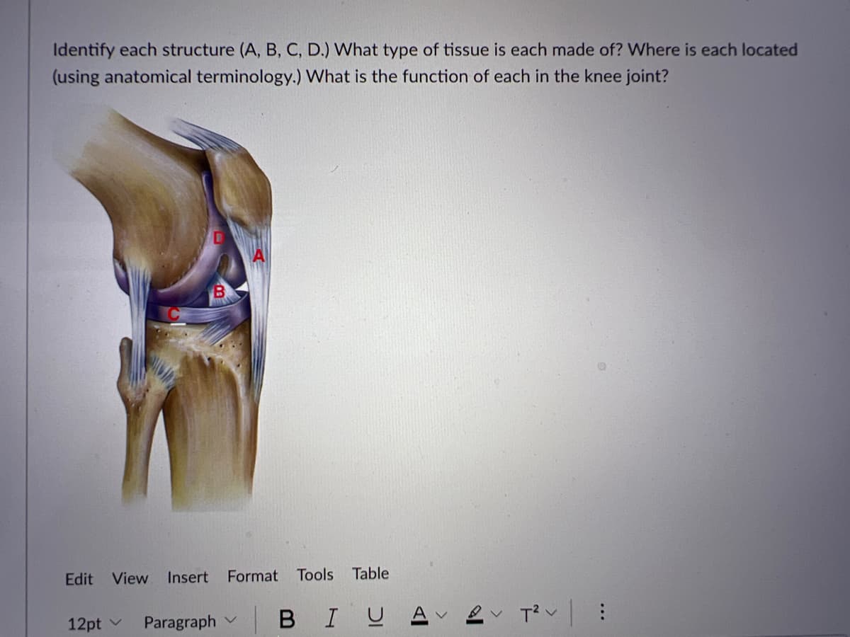 Identify each structure (A, B, C, D.) What type of tissue is each made of? Where is each located
(using anatomical terminology.) What is the function of each in the knee joint?
Edit
View
Insert
Format Tools
Table
12pt v
Paragraph v
B IUA
