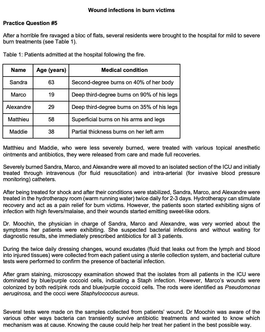 Wound infections in burn victims
Practice Question #5
After a horrible fire ravaged a bloc of flats, several residents were brought to the hospital for mild to severe
burn treatments (see Table 1).
Table 1: Patients admitted at the hospital following the fire.
Name
Age (years)
Medical condition
Sandra
63
Second-degree burns on 40% of her body
Marco
19
Deep third-degree burns on 90% of his legs
Alexandre
29
Deep third-degree burns on 35% of his legs
Matthieu
58
Superficial burns on his arms and legs
Maddie
38
Partial thickness burns on her left arm
Matthieu and Maddie, who were less severely burned, were treated with various topical anesthetic
ointments and antibiotics, they were released from care and made full recoveries.
Severely burned Sandra, Marco, and Alexandre were all moved to an isolated section of the ICU and initially
treated through intravenous (for fluid resuscitation) and intra-arterial (for invasive blood pressure
monitoring) catheters.
After being treated for shock and after their conditions were stabilized, Sandra, Marco, and Alexandre were
treated in the hydrotherapy room (warm running water) twice daily for 2-3 days. Hydrotherapy can stimulate
recovery and act as a pain relief for burn victims. However, the patients soon started exhibiting signs of
infection with high fevers/malaise, and their wounds started emitting sweet-like odors.
Dr. Moochin, the physician in charge of Sandra, Marco and Alexandre, was very worried about the
symptoms her patients were exhibiting. She suspected bacterial infections and without waiting for
diagnostic results, she immediately prescribed antibiotics for all 3 patients.
During the twice daily dressing changes, wound exudates (fluid that leaks out from the lymph and blood
into injured tissues) were collected from each patient using a sterile collection system, and bacterial culture
tests were performed to confirm the presence of bacterial infection.
After gram staining, microscopy examination showed that the isolates from all patients in the ICU were
dominated by blue/purple coccoid cells, indicating a Staph infection. However, Marco's wounds were
colonized by both red/pink rods and blue/purple coccoid cells. The rods were identified as Pseudomonas
aeruginosa, and the cocci were Staphylococcus aureus.
Several tests were made on the samples collected from patients' wound. Dr Moochin was aware of the
various other ways bacteria can transiently survive antibiotic treatments and wanted to know which
mechanism was at cause. Knowing the cause could help her treat her patient in the best possible way.
