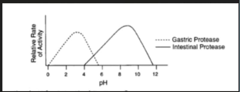 Relative Rate
of Activity
2
pH
10 12
Gastric Protease
Intestinal Protease