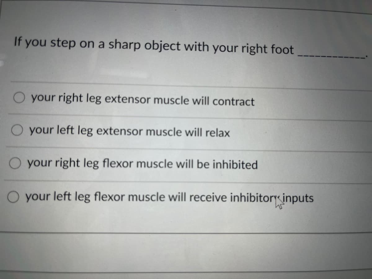 If you step on a sharp object with your right foot
O your right leg extensor muscle will contract
O your left leg extensor muscle will relax
O your right leg flexor muscle will be inhibited
O your left leg flexor muscle will receive inhibitory inputs
