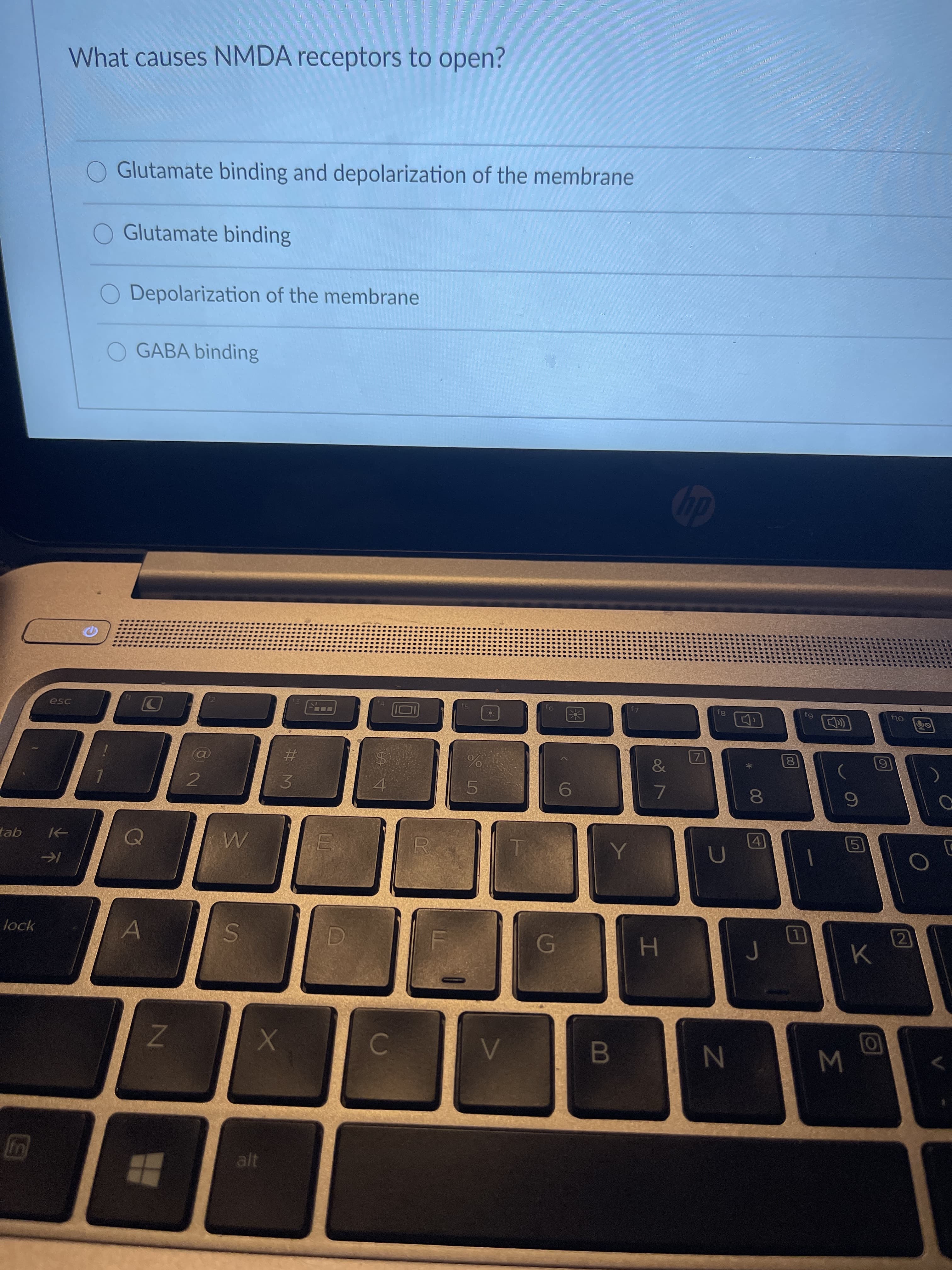 What causes NMDA receptors to open?
Glutamate binding and depolarization of the membrane
Glutamate binding
O Depolarization of the membrane
O GABA binding
