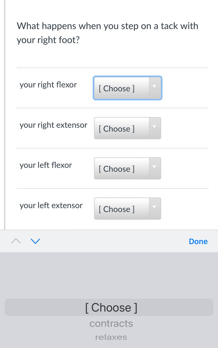 What happens when you step on a tack with
your right foot?
your right flexor
[ Choose ]
your right extensor
[ Choose ]
your left flexor
[ Choose ]
your left extensor
[ Choose ]
Done
[Choose]
contracts
relaxes
