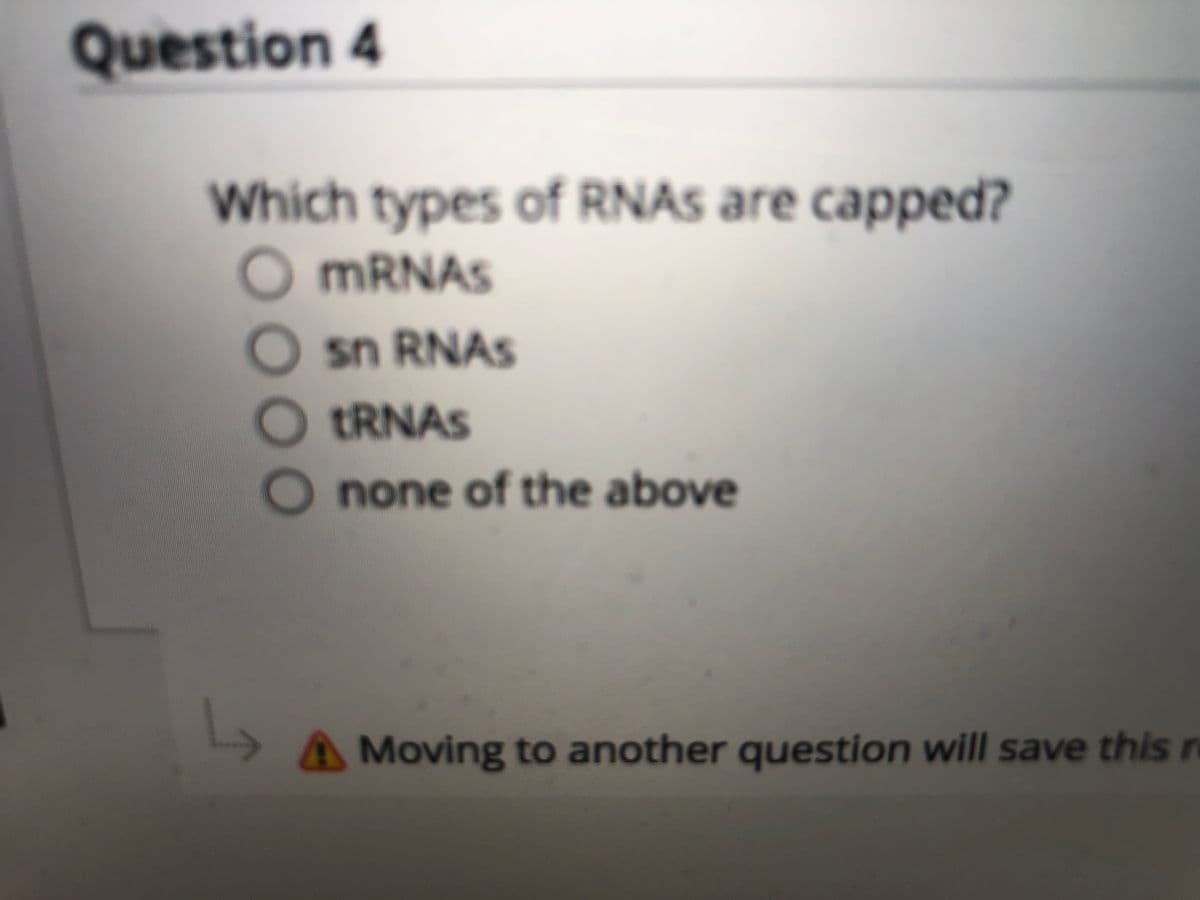 Question 4
Which types of RNAS are capped?
O MRNAS
O sn RNAS
TRNAS
none of the above
L,
AMoving to another question will save this r
0000
