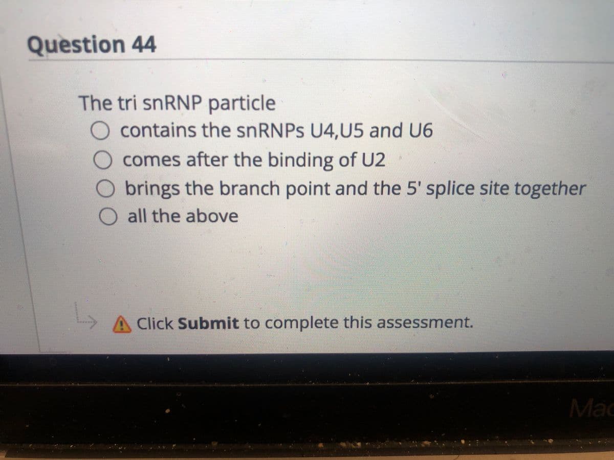 Question 44
The tri snRNP particle
O contains the snRNPs U4,U5 and U6
comes after the binding of U2
brings the branch point and the 5' splice site together
O all the above
A Click Submit to complete this assessment.
Mac
DO00
