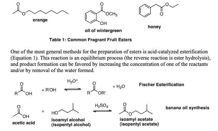 OCH3
orange
но.
honey
oil of wintergreen
Table 1: Common Fragrant Fruit Esters
One of the most general methods for the preparation of esters is acid-catalyzed esterification
(Equation 1). This reaction is an equilibrium process (the reverse reaction is ester hydrolysis),
and product formation can be favored by increasing the concentration of one of the reactants
and/or by removal of the water formed.
H3O*
Fischer Esterification
+ H20
+ R'OH
R
OR'
H2SO4
banana oil synthesis
HO
OH
isoamyl alcohol
(isopentyl alcohol)
isoamyl acetate
(isopentyl acetate)
acetic acid
