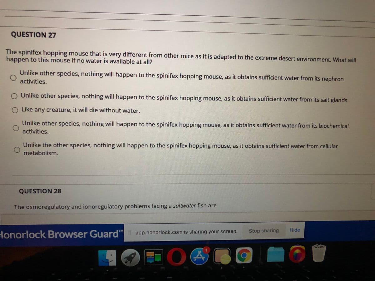 QUESTION 27
The spinifex hopping mouse that is very different from other mice as it is adapted to the extreme desert environment. What will
happen to this mouse if no water is available at all?
Unlike other species, nothing will happen to the spinifex hopping mouse, as it obtains sufficient water from its nephron
activities.
O Unlike other species, nothing will happen to the spinifex hopping mouse, as it obtains sufficient water from its salt glands.
O Like any creature, it will die without water.
Unlike other species, nothing will happen to the spinifex hopping mouse, as it obtains sufficient water from its biochemical
activities.
Unlike the other species, nothing will happen to the spinifex hopping mouse, as it obtains sufficient water from cellular
metabolism.
QUESTION 28
The osmoregulatory and ionoregulatory problems facing a saltwater fish are
Stop sharing
Hide
Honorlock Browser Guard app.honorlock.com is sharing your screen.
