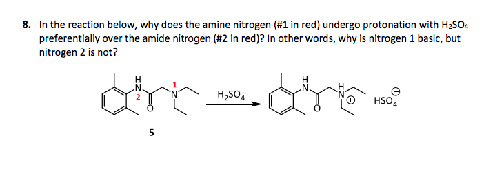 8. In the reaction below, why does the amine nitrogen (#1 in red) undergo protonation with H2SO4
preferentially over the amide nitrogen (#2 in red)? In other words, why is nitrogen 1 basic, but
nitrogen 2 is not?
H,SO4
HSO4
