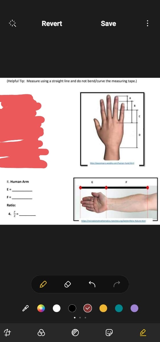 II. Human Arm
(Helpful Tip: Measure using a straight line and do not bend/curve the measuring tape.)
E=
F=
Ratio:
4.
Revert
€4
D
Save
http://ayemers.weebly.com/human-hand.html
https://recreationalathematics.neocities.org/GoldenRatio-Nature.html
s