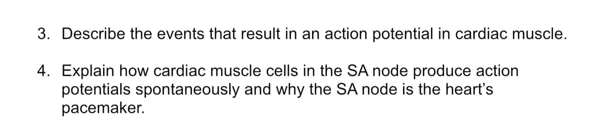 3. Describe the events that result in an action potential in cardiac muscle.
4. Explain how cardiac muscle cells in the SA node produce action
potentials spontaneously and why the SA node is the heart's
pacemaker.