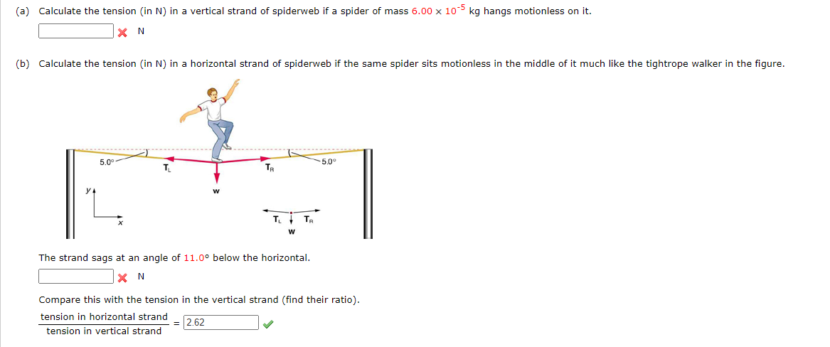 (a) Calculate the tension (in N) in a vertical strand of spiderweb if a spider of mass 6.00 x 10-5 kg hangs motionless on it.
ΧΝ
(b) Calculate the tension (in N) in a horizontal strand of spiderweb if the same spider sits motionless in the middle of it much like the tightrope walker in the figure.
5.0°
W
-5.0°
TR
W
The strand sags at an angle of 11.0° below the horizontal.
× N
Compare this with the tension in the vertical strand (find their ratio).
tension in horizontal strand
tension in vertical strand
2.62