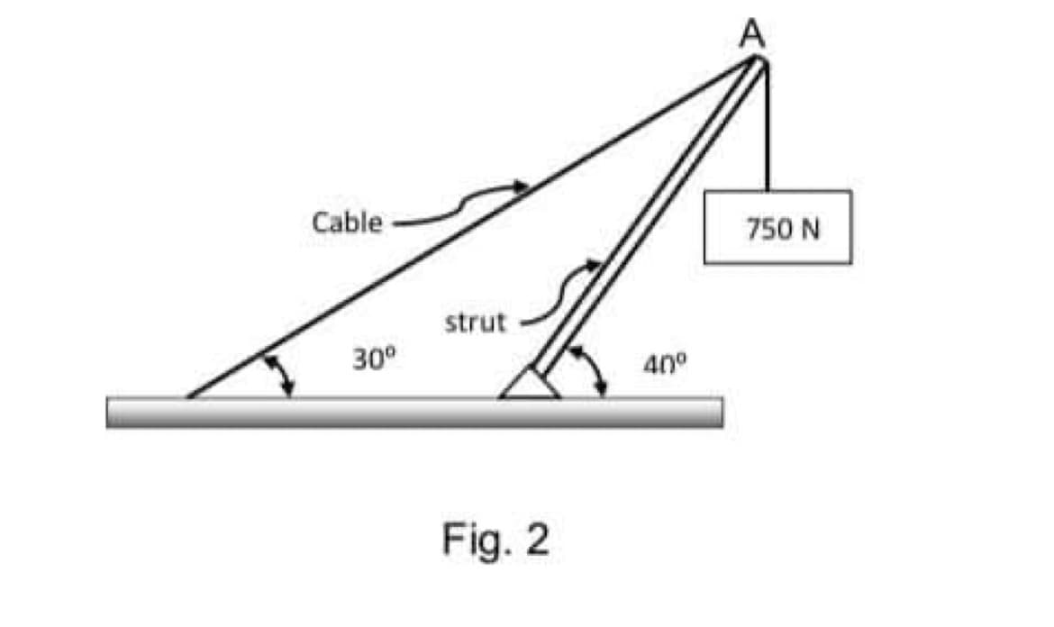 A
Cable
750 N
strut
30°
40°
Fig. 2
