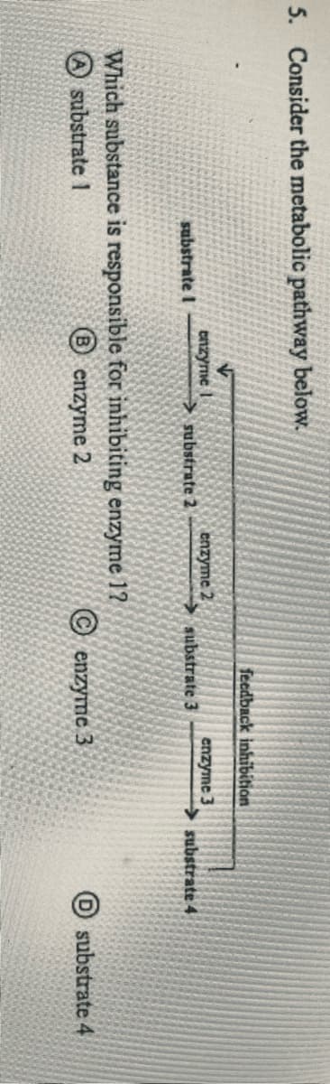 5. Consider the metabolic pathway below.
feedback inhibition
enzyme I
enzyme 2
enzyme 3
substrate I
> substrate2
> substrate 3
substrate 4
Which substance is responsible for inhibiting enzyme 17
A substrate 1
® cnzyme 2
© enzyme 3
substrate 4
