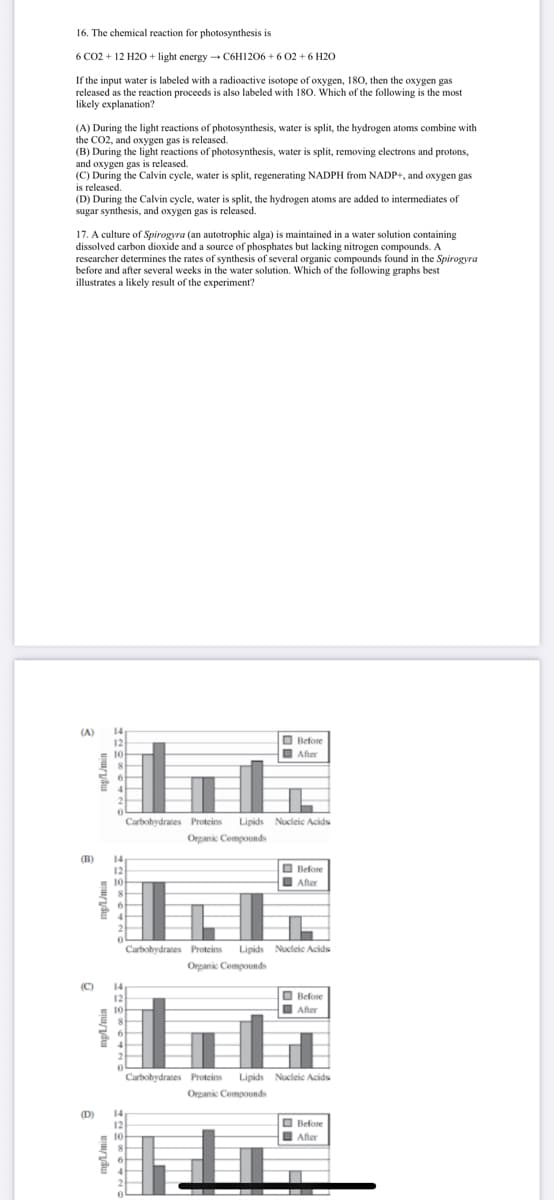 16. The chemical reaction for photosynthesis is
6 CO2 + 12 H2O + light energy C6H1206 + 6 02 + 6 H20
If the input water is labeled with a radioactive isotope of oxygen, 180, then the oxygen gas
released as the reaction proceeds is also labeled with 180. Which of the following is the most
likely explanation?
(A) During the light reactions of photosynthesis, water is split, the hydrogen atoms combine with
the CO2, and oxygen gas is released.
(B) During the light reactions of photosynthesis, water is split, removing electrons and protons,
and oxygen gas is released.
(C) During the Calvin cycle, water is split, regenerating NADPH from NADP+, and oxygen gas
is released.
(D) During the Calvin cycle, water is split, the hydrogen atoms are added to intermediates of
sugar synthesis, and oxygen gas is released.
17. A culture of Spirogyra (an autotrophic alga) is maintained in a water solution containing
dissolved carbon dioxide and a source of phosphates but lacking nitrogen compounds. A
rescarcher determines the rates of synthesis of several organic compounds found in the Spirogyra
before and after several weeks in the water solution. Which of the following graphs best
illustrates a likely result of the experiment?
(A)
14
O Before
I After
12
10
Carbohydrates Proteins
Lipids Nucleic Acids
Orpanic Compounds
(B)
14
12
10
O Before
I After
Carbohydrates Proteins
Lipids Nucleic Acids
Orpanic Compounds
(C)
14
O Before
12
10
After
Carbohydrates Proteins
Lipids Nucleic Acids
Organic Compounds
(D)
14
O Before
I After
12
10
