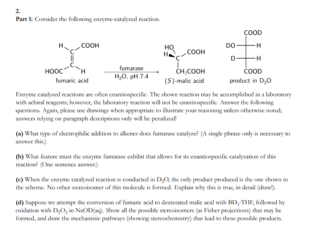 (a) What type of electrophilic addition to alkenes does fumarase catalyze? (A single phrase only is necessary to
answer this.)
(b) What feature must the enzyme fumarase exhibit that allows for its enantiospecific catalyzation of this
reaction? (One sentence answer.)
(c) When the enzyme catalyzed reaction is conducted in D,O, the only product produced is the one shown in
the scheme. No other stereoisomer of this molecule is formed. Explain why this is true, in detail (draw!).
