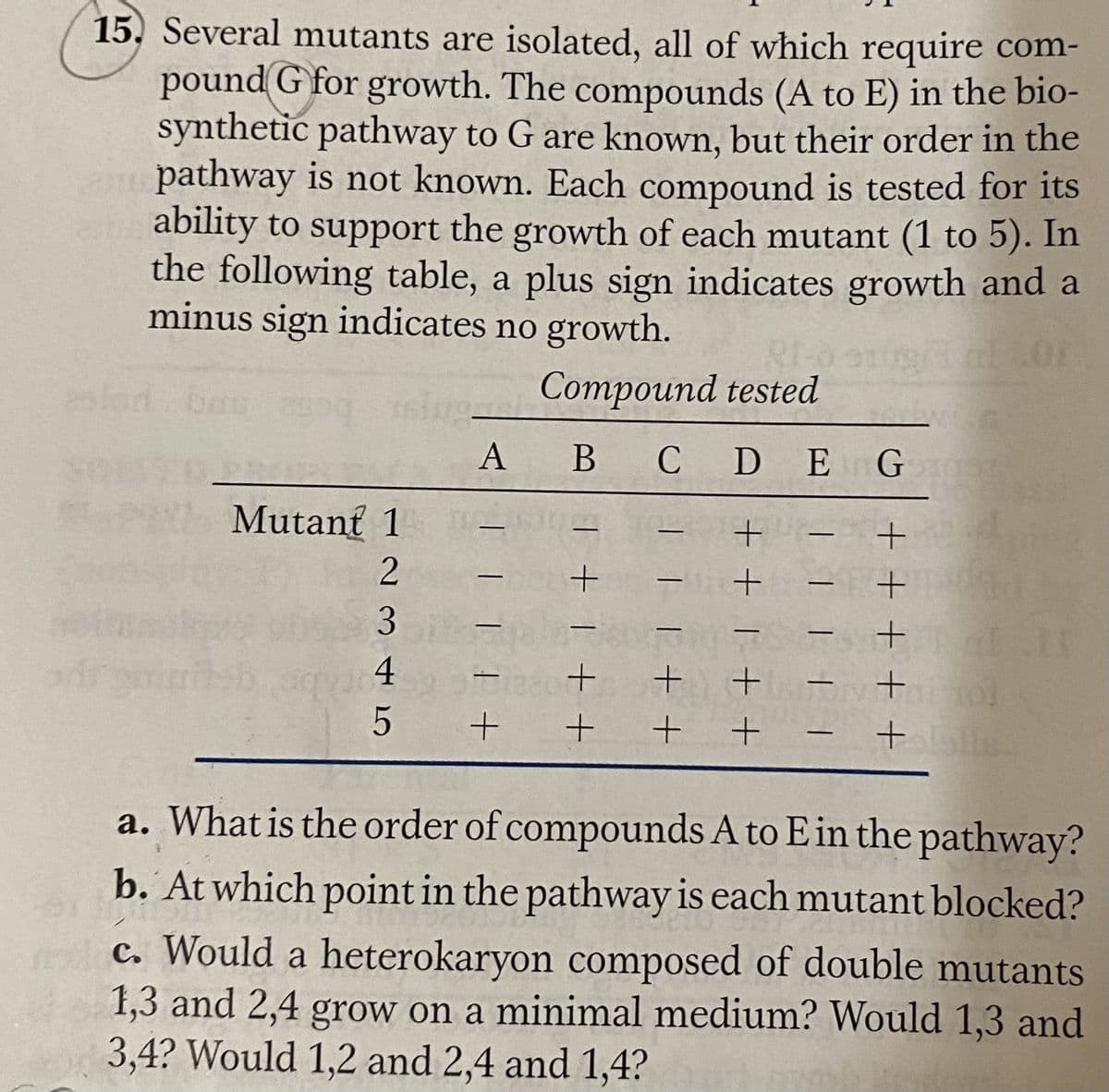 15. Several mutants are isolated, all of which require com-
pound G for growth. The compounds (A to E) in the bio-
synthetic pathway to G are known, but their order in the
pathway is not known. Each compound is tested for its
ability to support the growth of each mutant (1 to 5). In
the following table, a plus sign indicates growth and a
minus sign indicates no growth.
olord bos og elu Compound tested
А В
B CDEG
Mutanf 1
a. What is the order of compounds A to E in the pathway?
b. At which point in the pathway is each mutant blocked?
c. Would a heterokaryon composed of double mutants
1,3 and 2,4 grow on a minimal medium? Would 1,3 and
3,4? Would 1,2 and 2,4 and 1,4?
+ + + +
3 45
