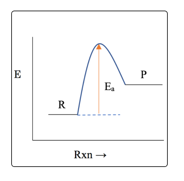 E
P
Ea
R
Rxn –
