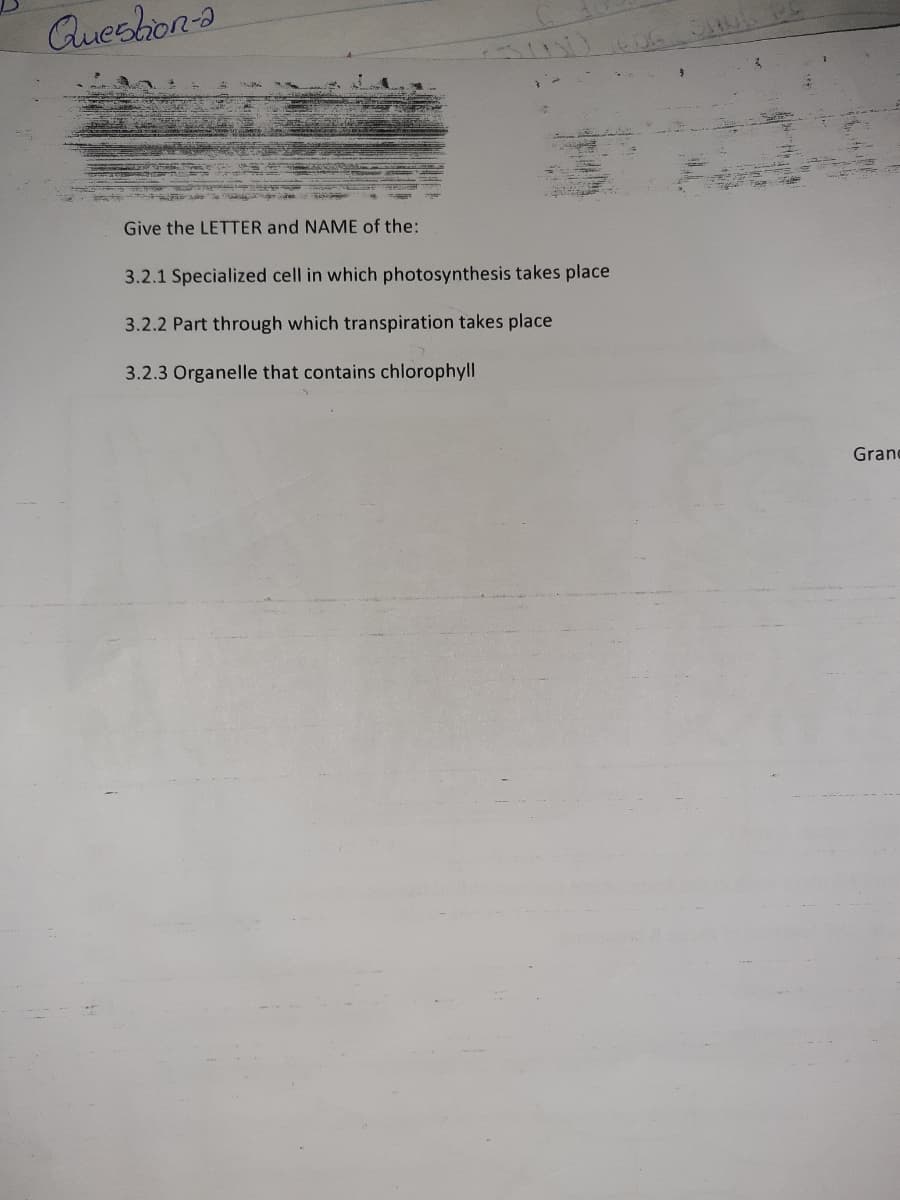 Aueshion-a
Give the LETTER and NAME of the:
3.2.1 Specialized cell in which photosynthesis takes place
3.2.2 Part through which transpiration takes place
3.2.3 Organelle that contains chlorophyll
Grand

