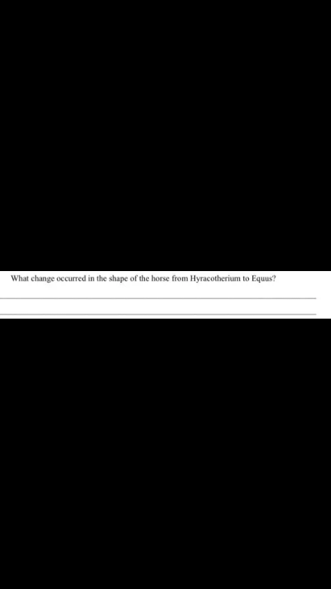 What change occurred in the shape of the horse from Hyracotherium to Equus?
