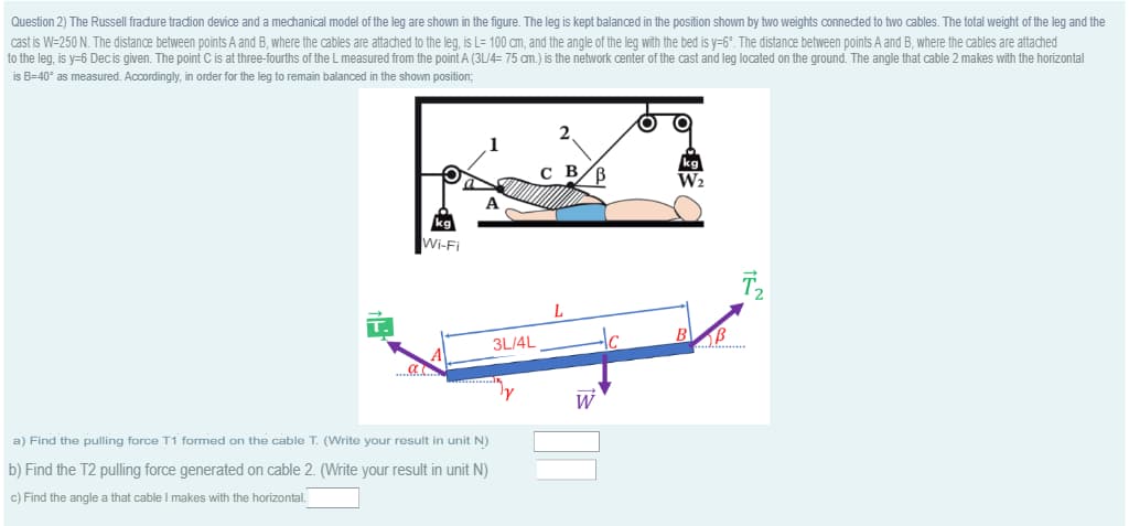 Question 2) The Russell fracture traction device and a mechanical model of the leg are shown in the figure. The leg is kept balanced in the position shown by two weights connected to two cables. The total weight of the leg and the
cast is W=250 N. The distance between points A and B, where the cables are attached to the leg, is L= 100 cm, and the angle of the leg with the bed is y=6°. The distance between points A and B, where the cables are attached
to the leg, is y=6 Dec is given. The point C is at three-fourths of the L measured from the point A (3L/4= 75 cm.) is the network center of the cast and leg located on the ground. The angle that cable 2 makes with the horizontal
is B=40* s measured. Accordingly, in order for the leg to remain balanced in the shown position;
a
Wi-Fi
a) Find the pulling force T1 formed on the cable T. (Write your result in unit N)
b) Find the T2 pulling force generated on cable 2. (Write your result in unit N)
c) Find the angle a that cable I makes with the horizontal.
3L/4L
с B/B
W
W₂
T₂