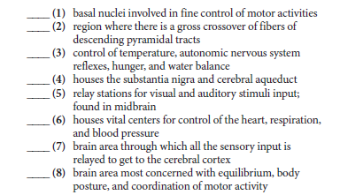 _ (1) basal nuclei involved in fine control of motor activities
_ (2) region where there is a gross crossover of fibers of
descending pyramidal tracts
(3) control of temperature, autonomic nervous system
reflexes, hunger, and water balance
(4) houses the substantia nigra and cerebral aqueduct
(5) relay stations for visual and auditory stimuli input;
found in midbrain
(6) houses vital centers for control of the heart, respiration,
and blood pressure
(7) brain area through which all the sensory input is
relayed to get to the cerebral cortex
(8) brain area most concerned with equilibrium, body
posture, and coordination of motor activity
