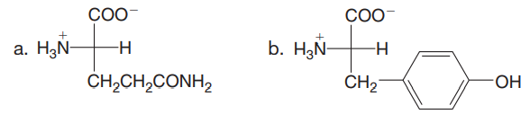 СОО
CO0-
a. H3N-
b. H3Ñ-
CH,CH,CONH,
CH2
HO-
